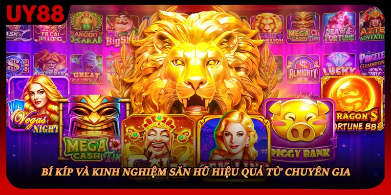 Bí kíp và kinh nghiệm săn hũ hiệu quả từ chuyên gia